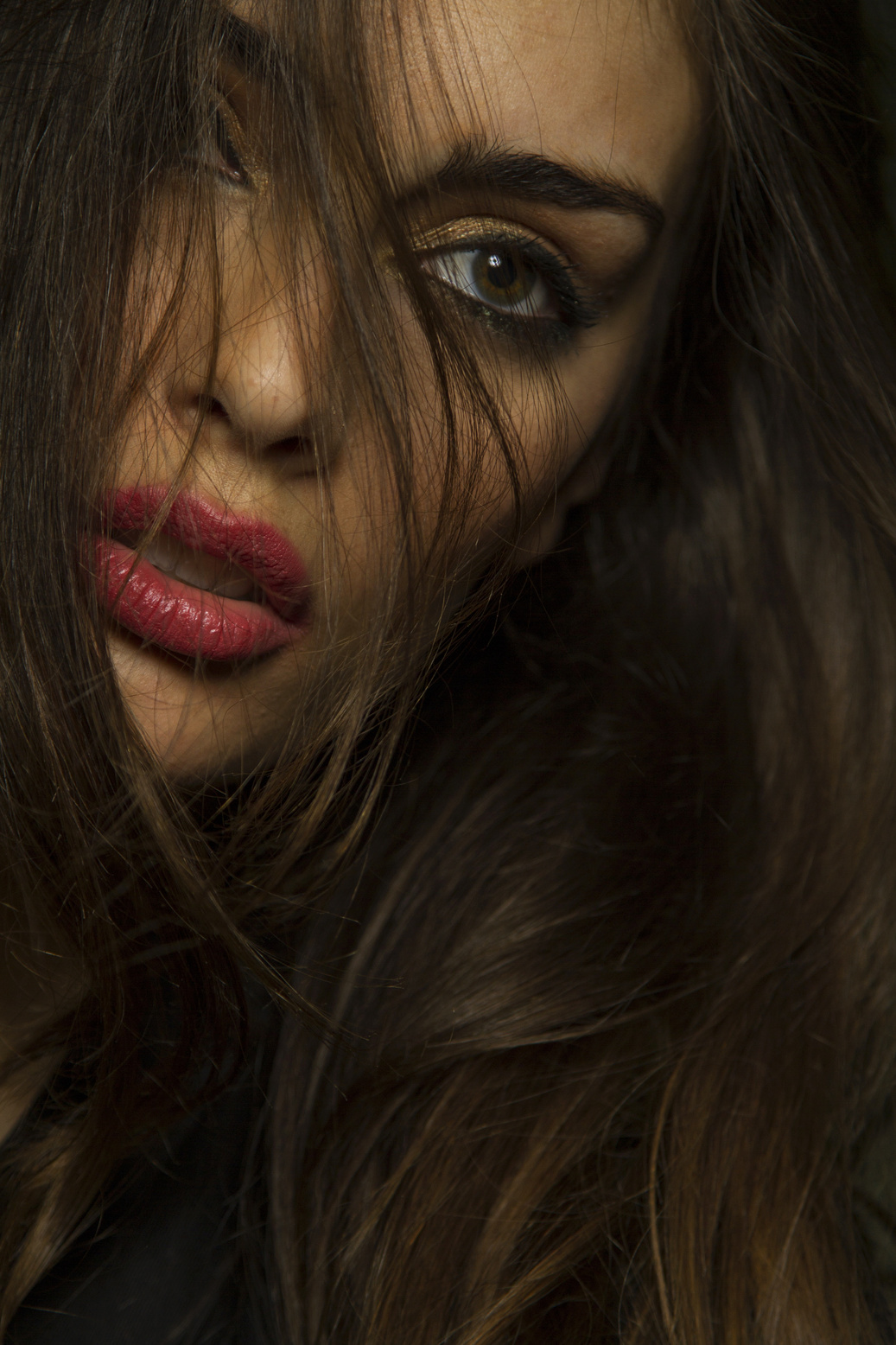 Portrait of a Beautiful Woman